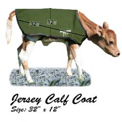 Jersey
